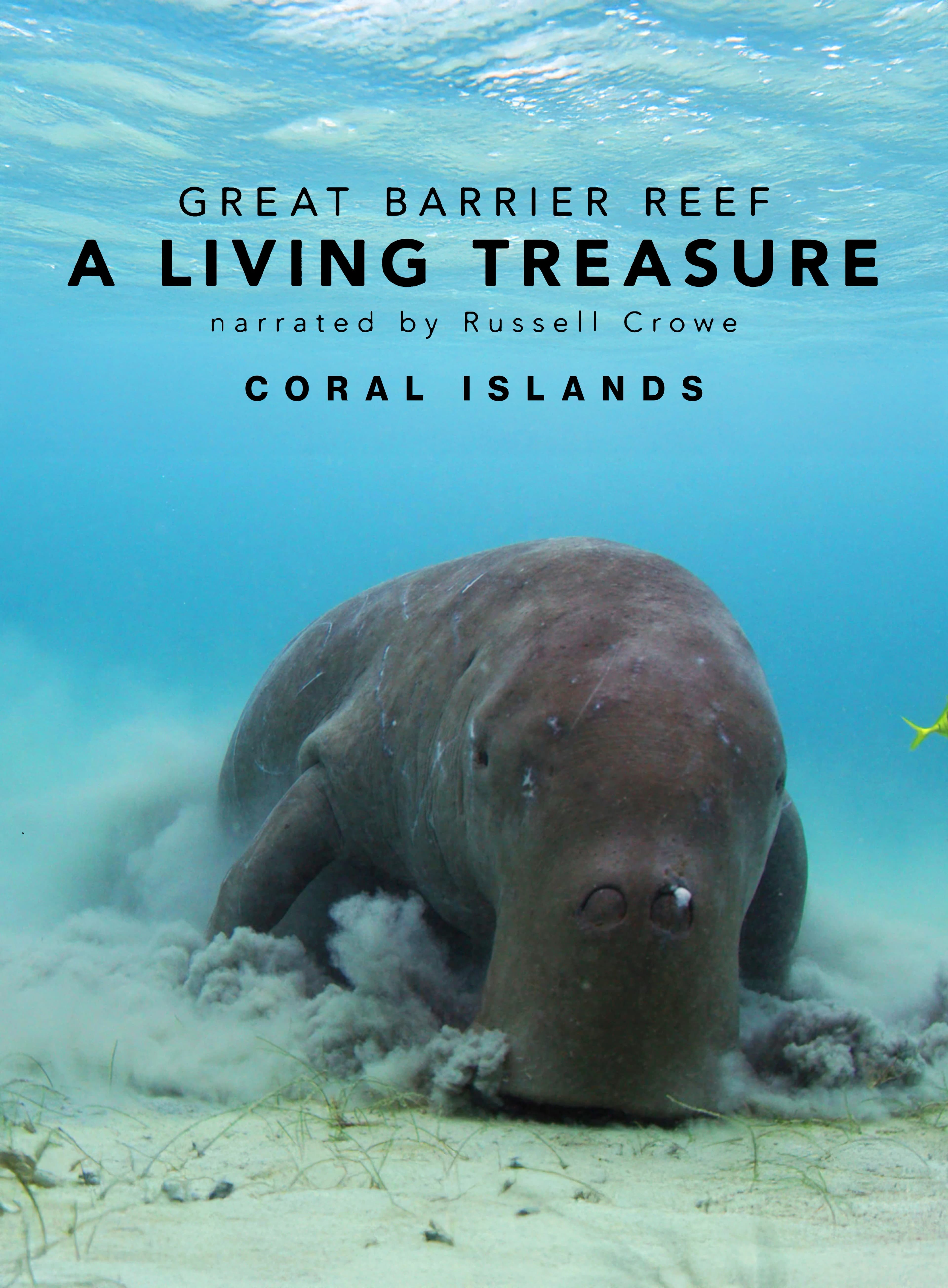 Great Barrier Reef A Living Treasure: Coral Islands