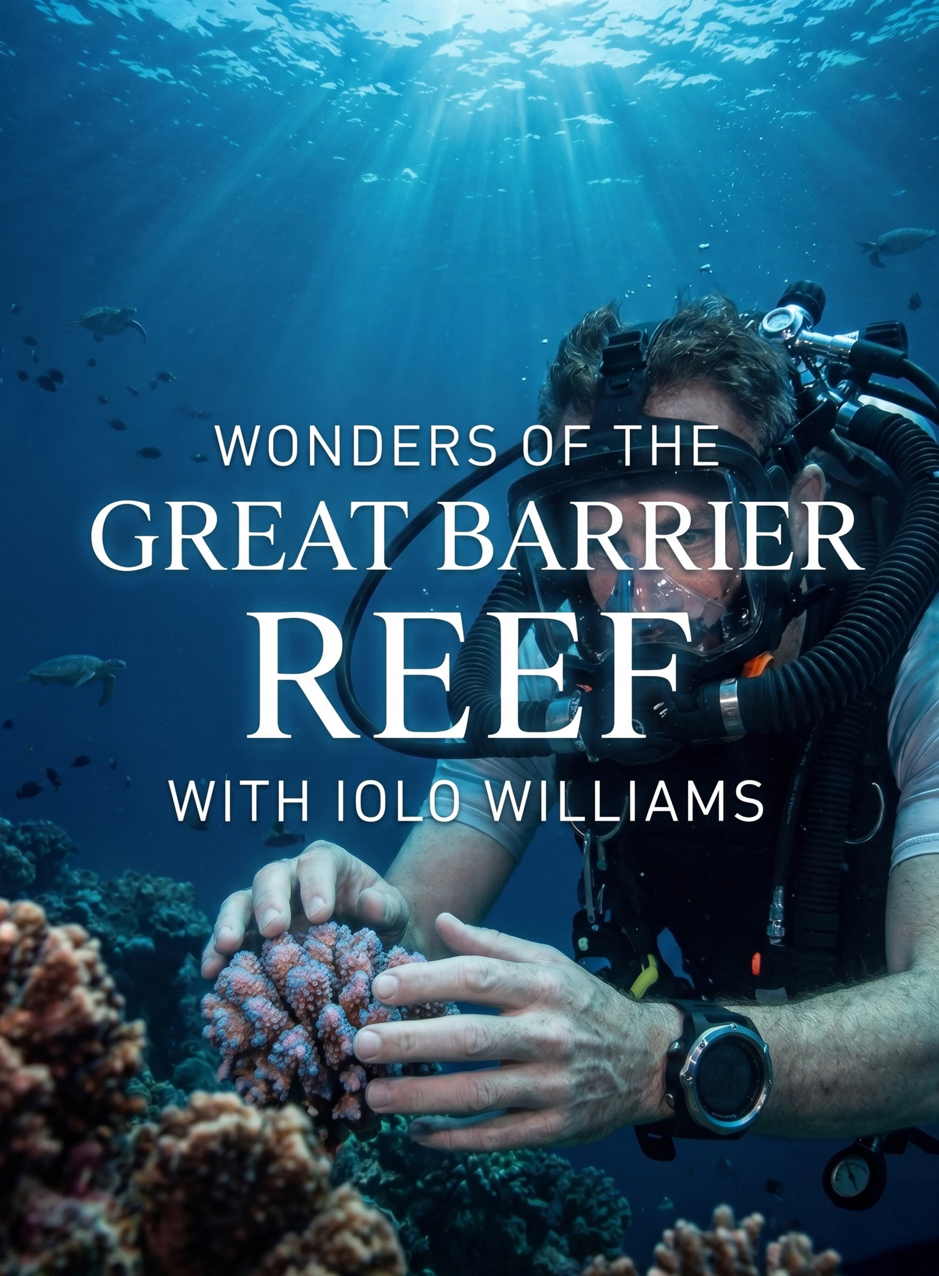 Wonders Of The Great Barrier Reef