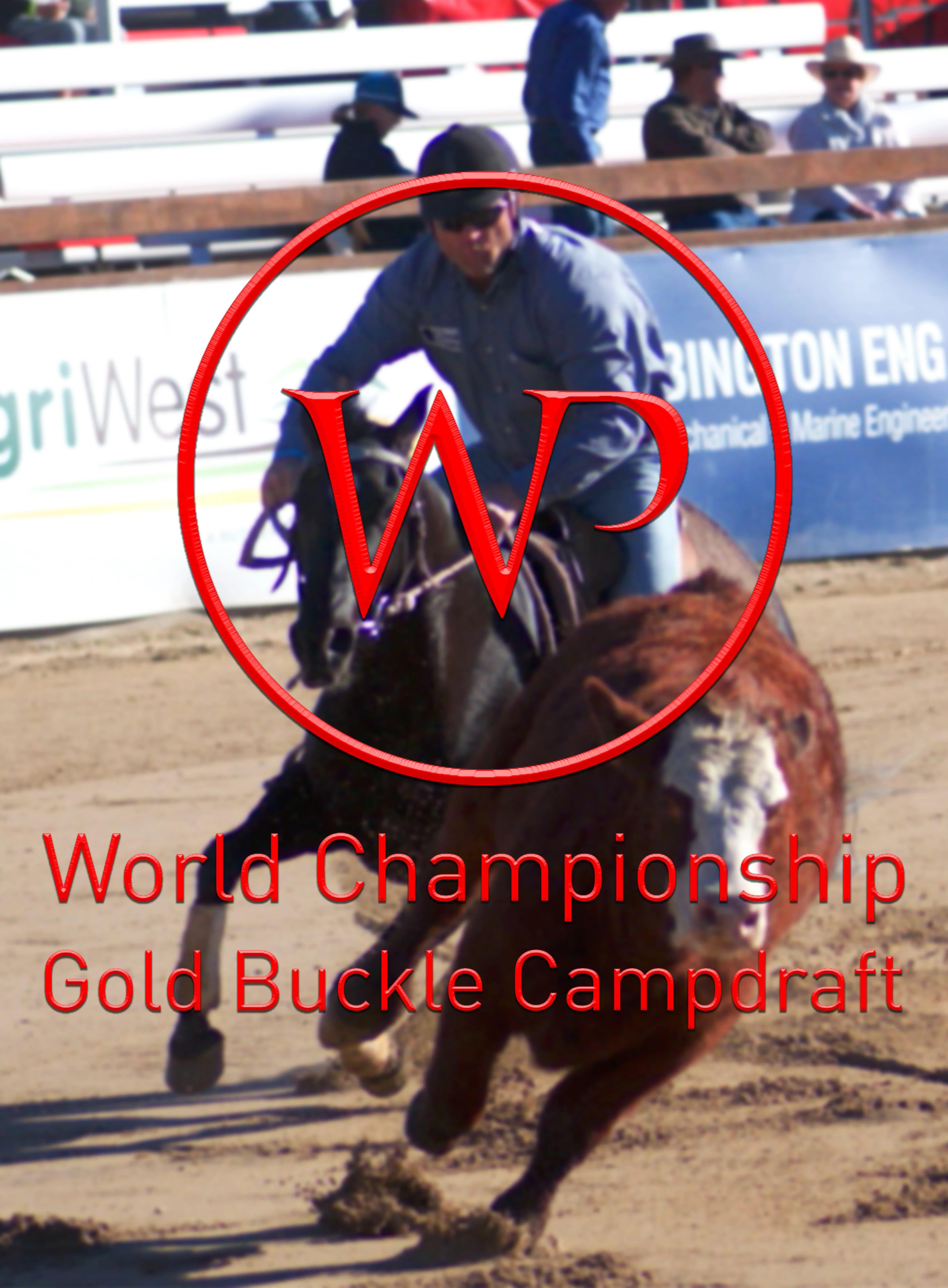 Willinga Park World Champinship Gold Buckle Campdraft