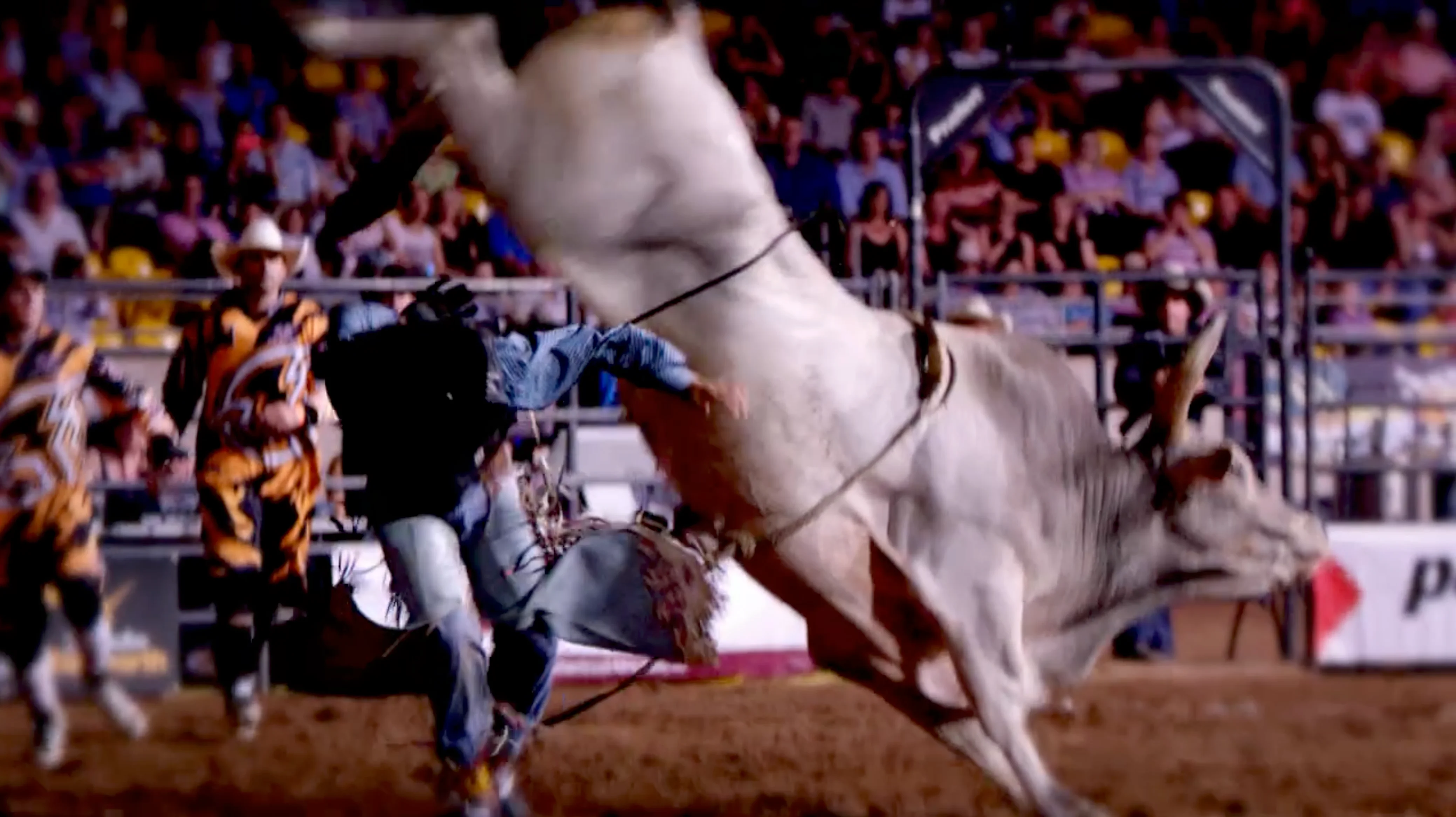Rj Media PBR Tamworth