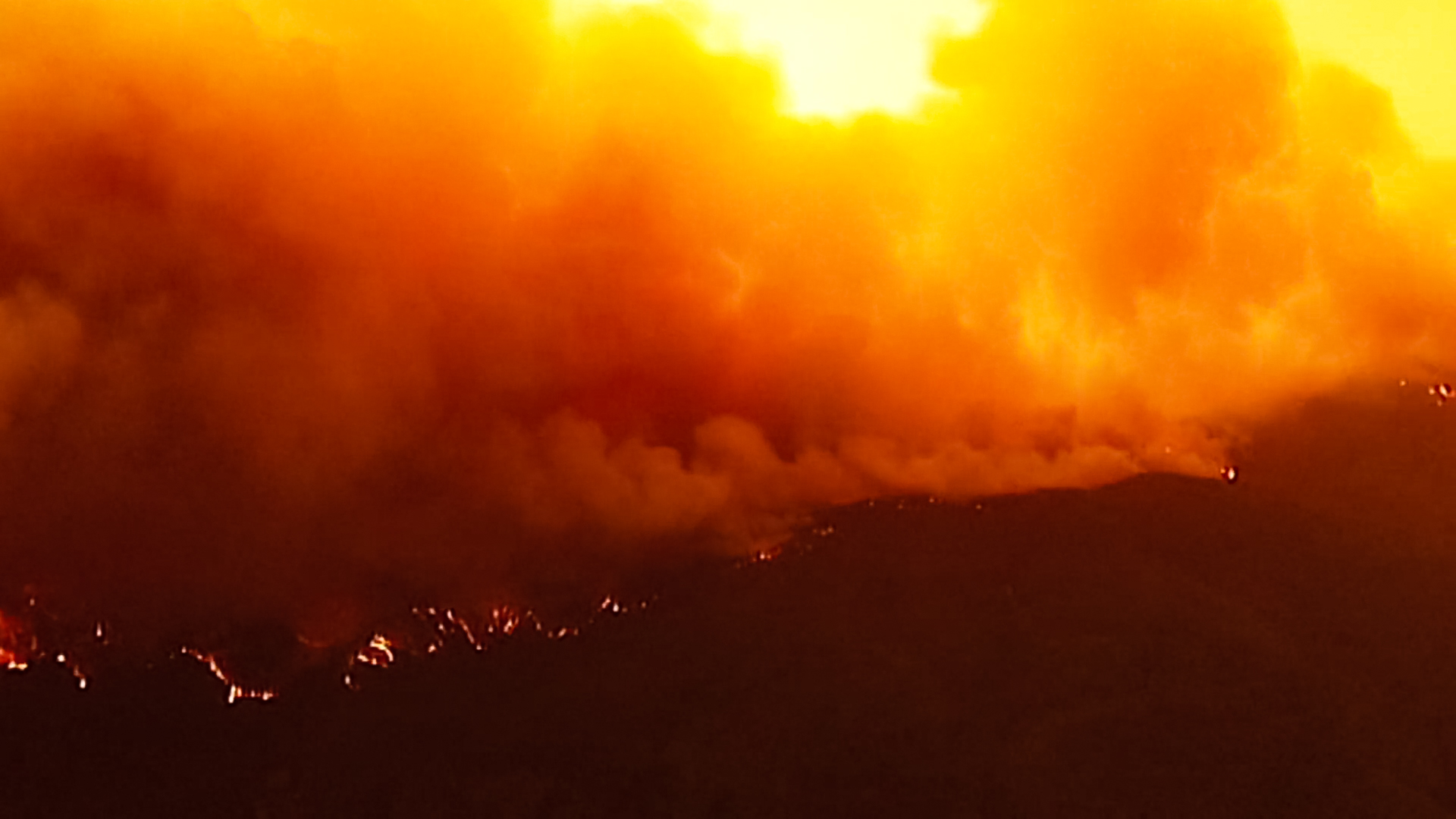Rj Media Firestorm