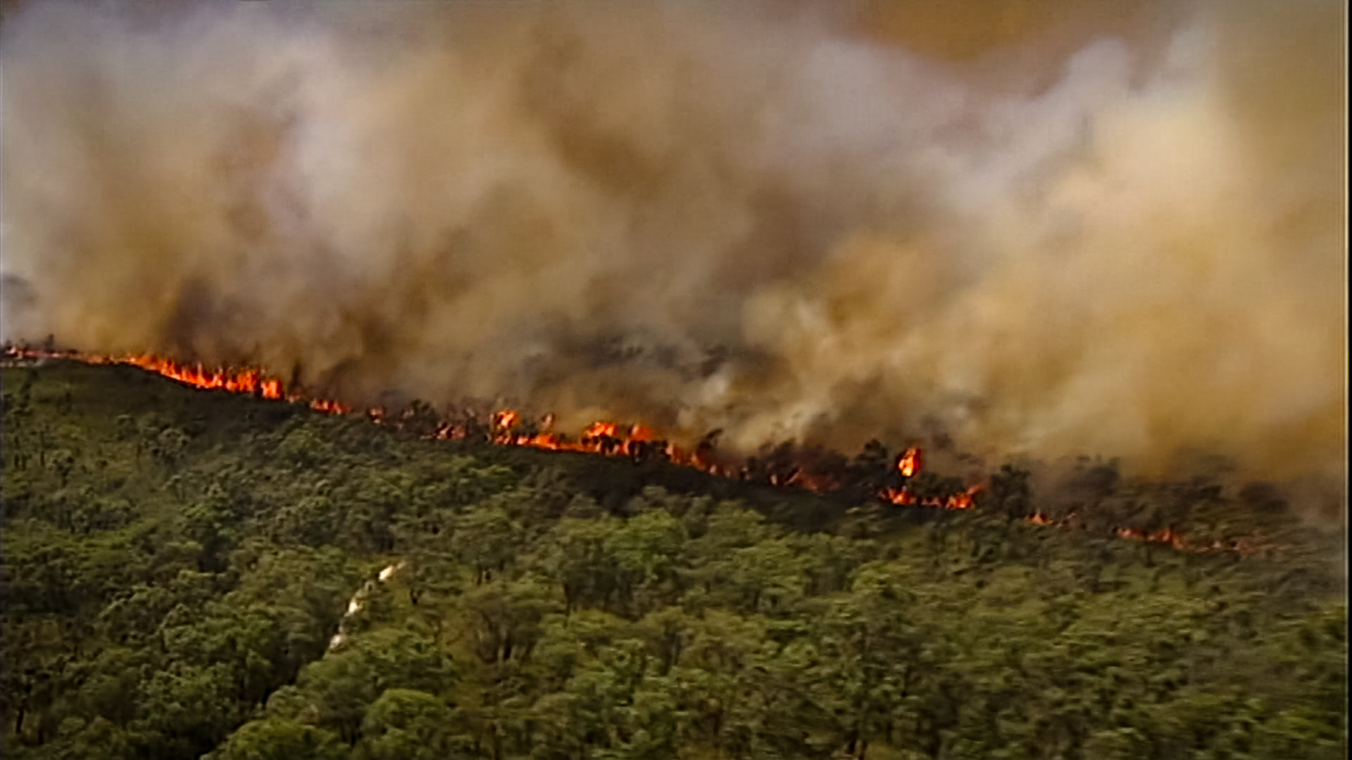 Rj Media Firestorm