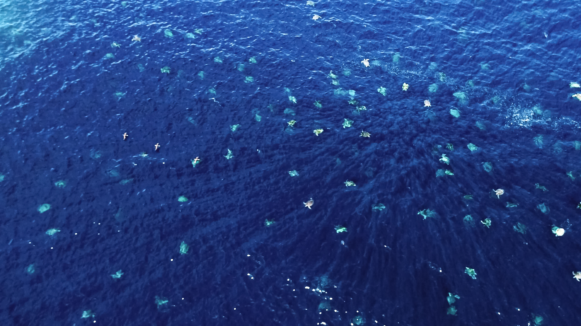 Rj Media Great Barrier Reef From Above