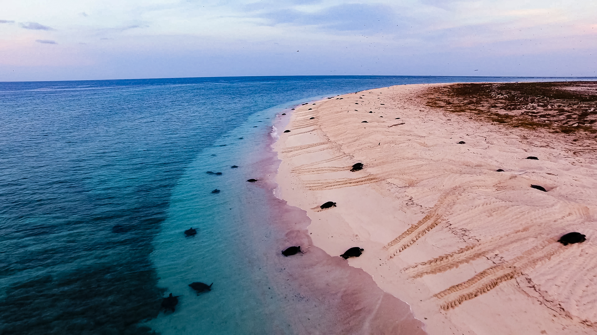 Rj Media Great Barrier Reef From Above