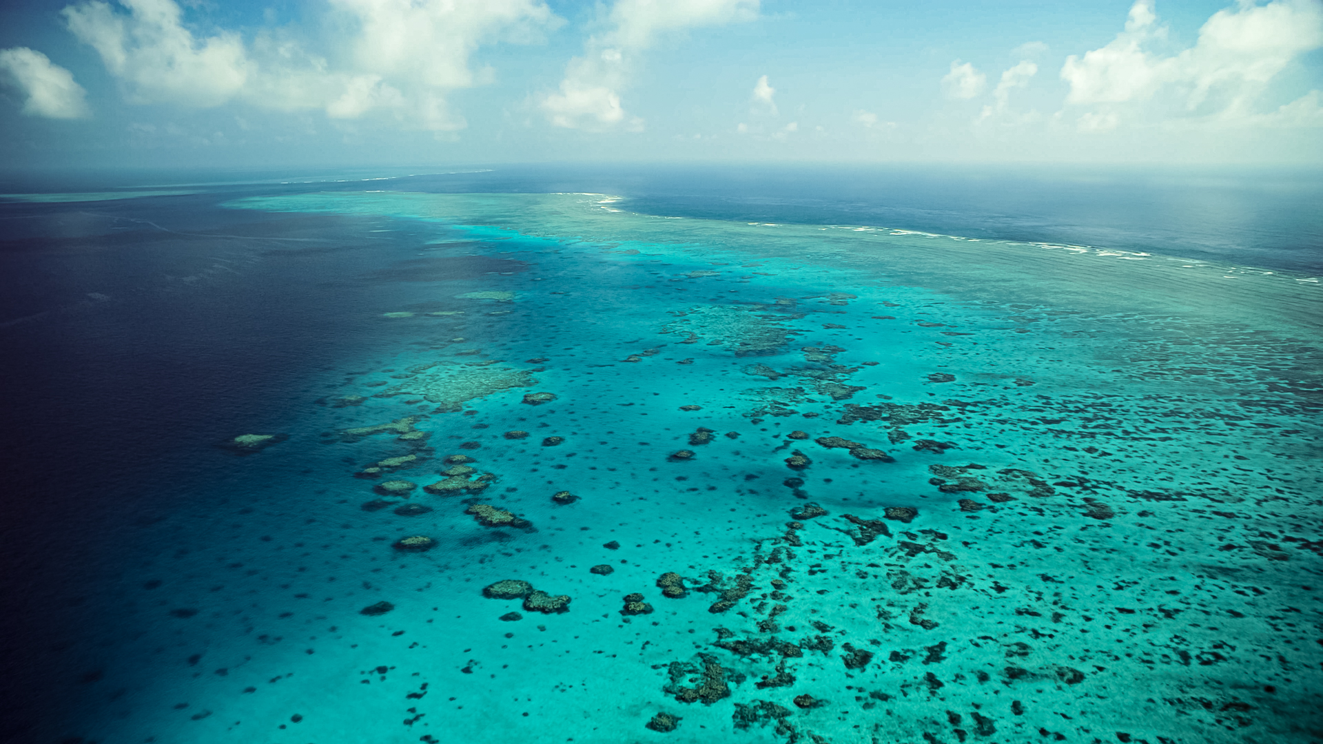 Rj Media Great Barrier Reef From Above