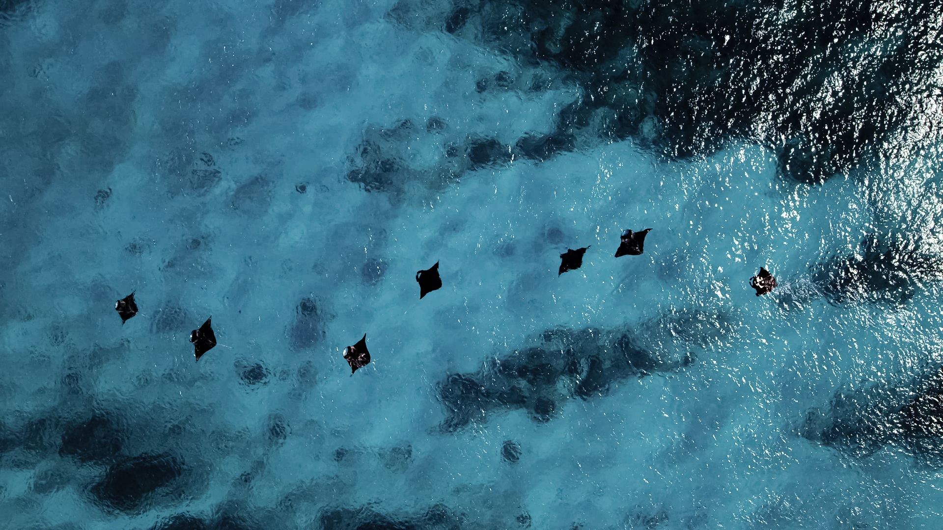 Rj Media Great Barrier Reef From Above