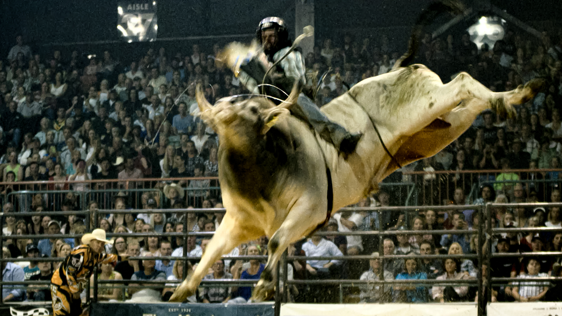 Rj Media PBR Greatest Hits