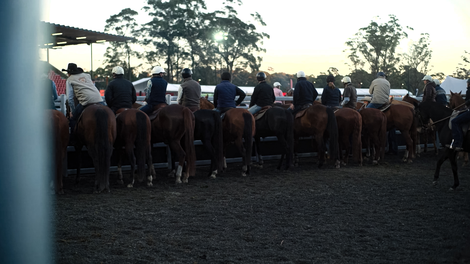 Rj Media Willinga Park World Champinship Gold Buckle Campdraft