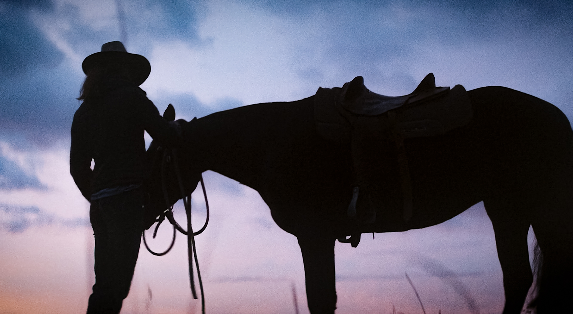 Rj Media Brumby Jack